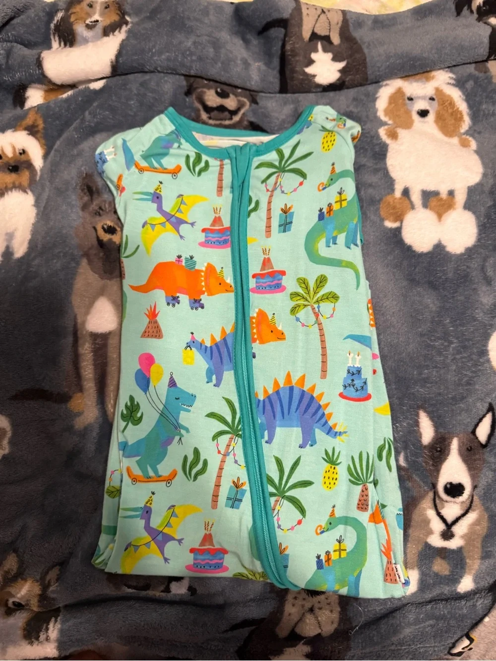 Little Sleepies Dinosaur Birthday